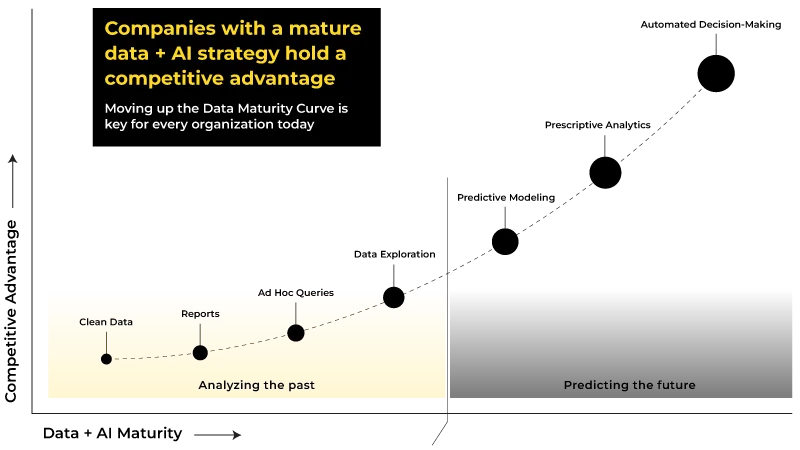 data maturity curve banner