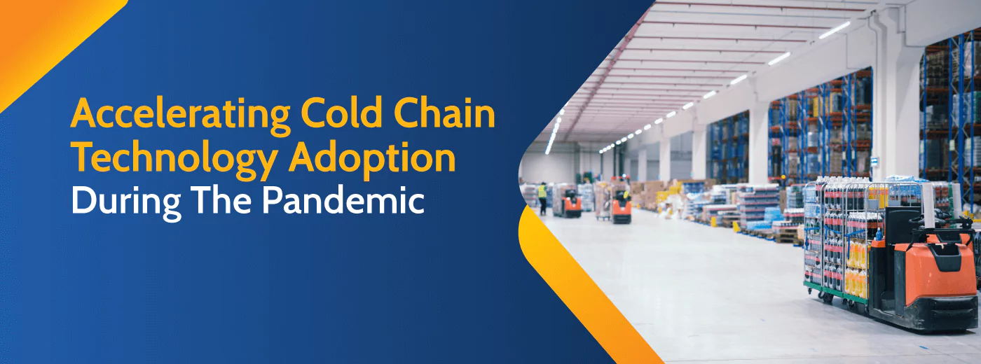 cold chain infrastructure