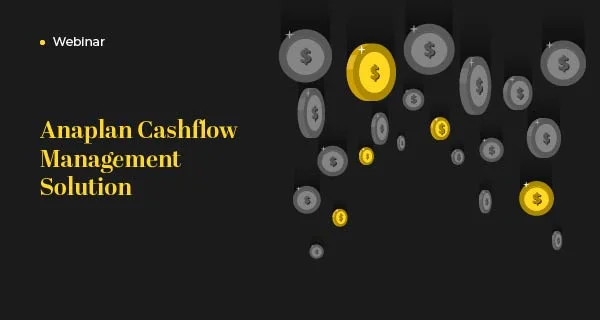 Anaplan Cashflow Management Solution