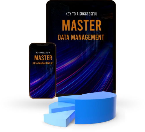 Master Data Management
